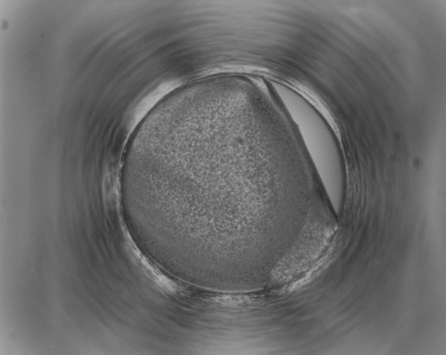 X0000087670906200705181701