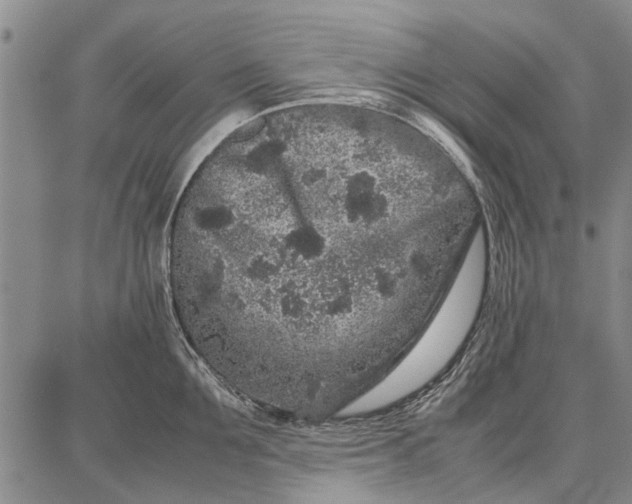 X0000087670907200705181701