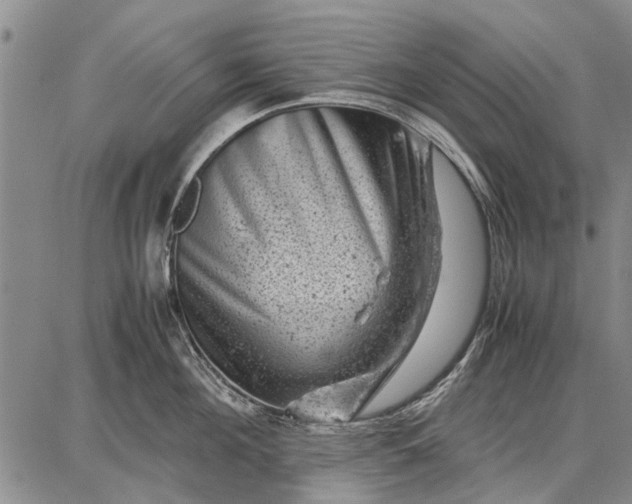 X0000087670908200705181701