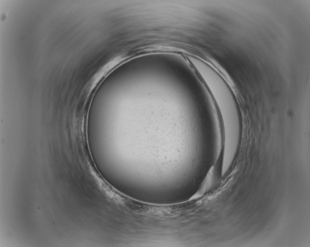 X0000087670909200705181701