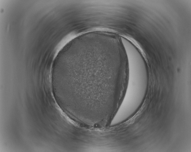 X0000087670910200705181701