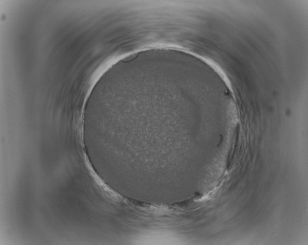 X0000087670911200705181701