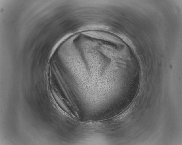 X0000087670912200705181701