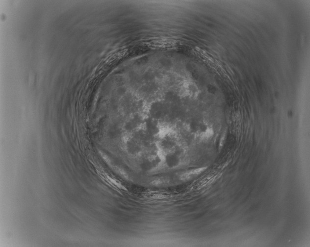 X0000087670913200705181701