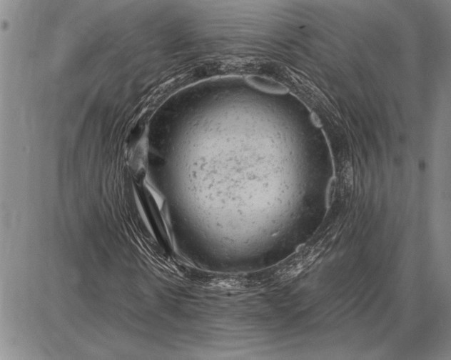 X0000087670914200705181701