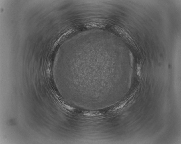 X0000087670915200705181701