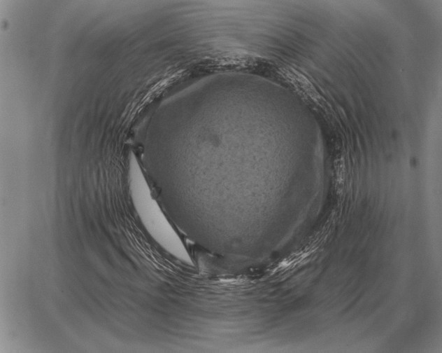 X0000087670916200705181701