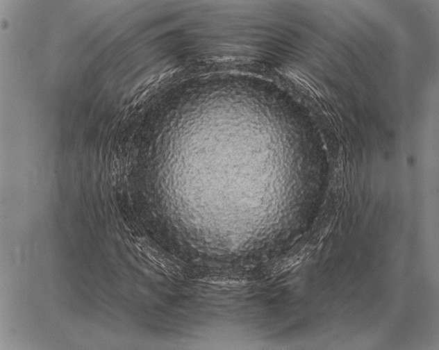 X0000087670917200705181701