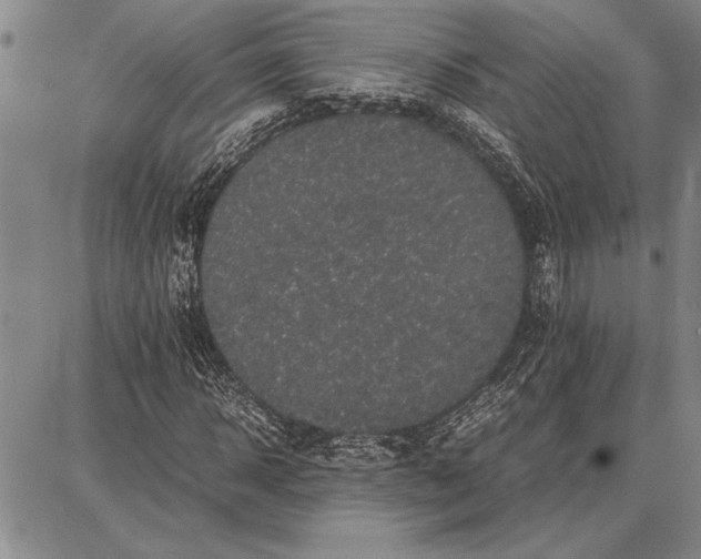 X0000087670918200705181701