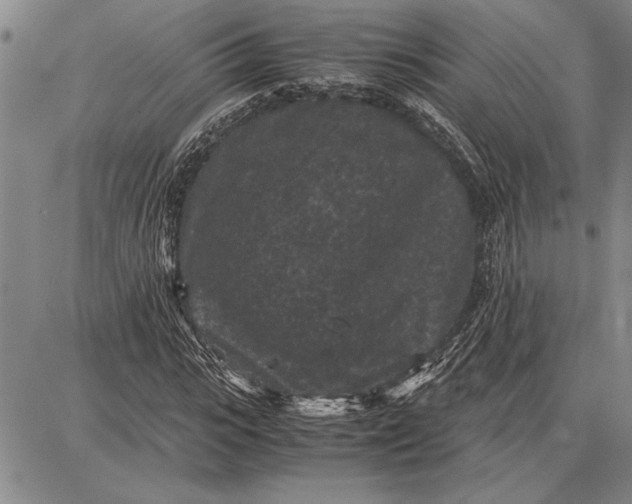 X0000087670919200705181701