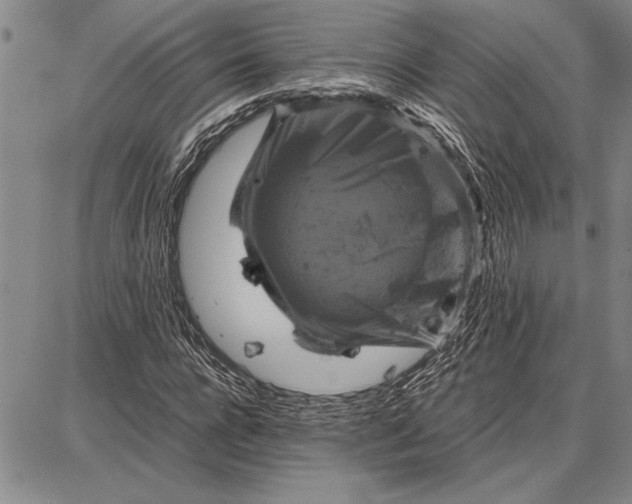 X0000087670920200705181701