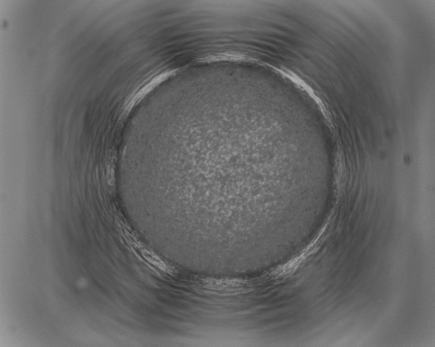 X0000087670921200705181701