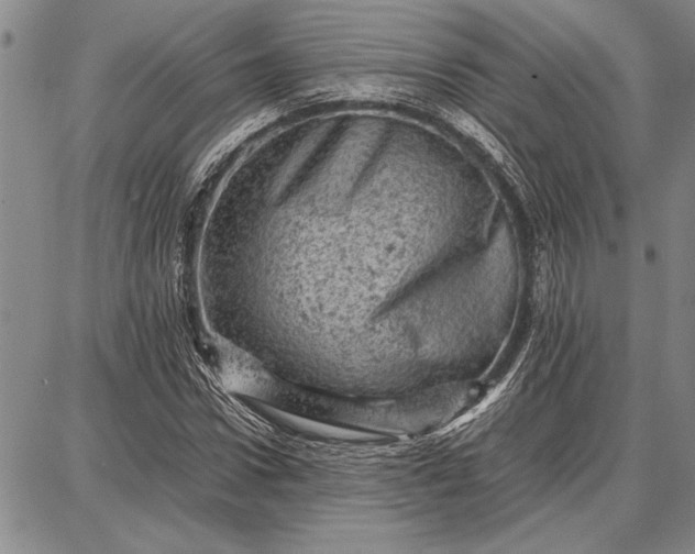 X0000087670922200705181701