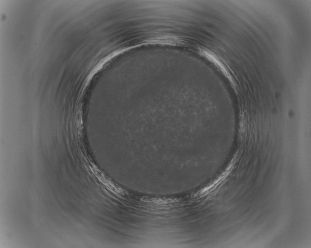 X0000087670923200705181701