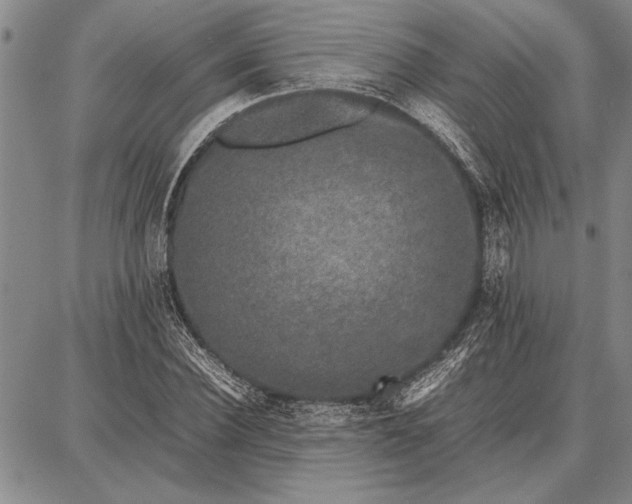 X0000087670924200705181701