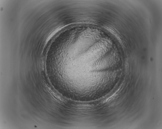 X0000087670925200705181701