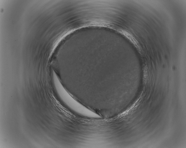 X0000087670926200705181701