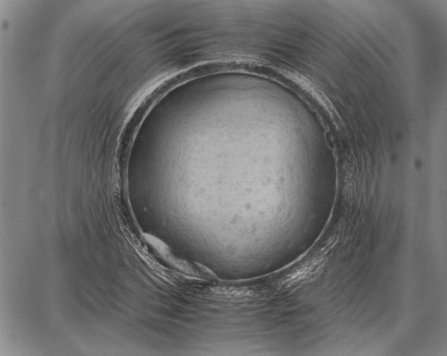 X0000087670927200705181701