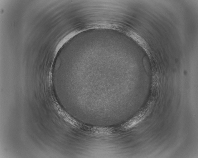 X0000087670928200705181701