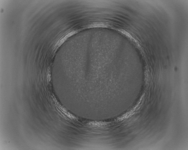 X0000087670929200705181701