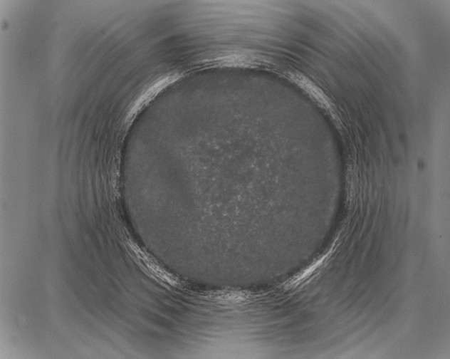 X0000087670930200705181701