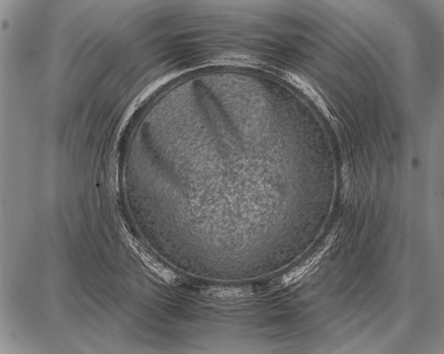 X0000087670931200705181701