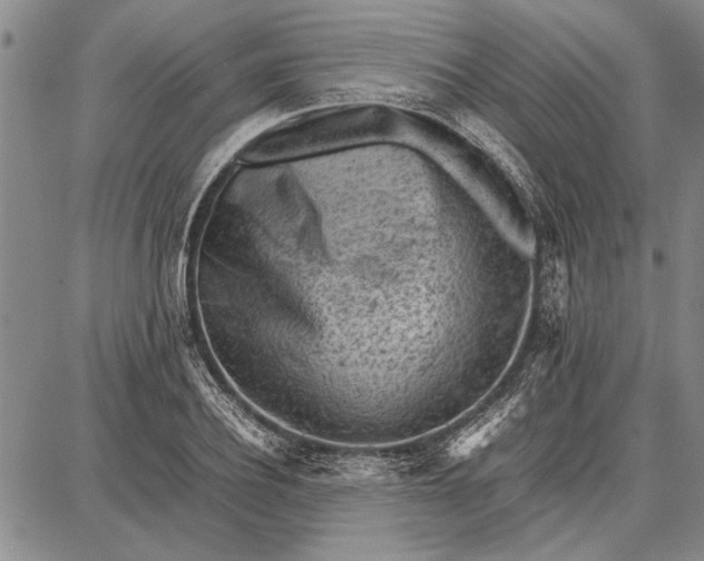 X0000087670932200705181701