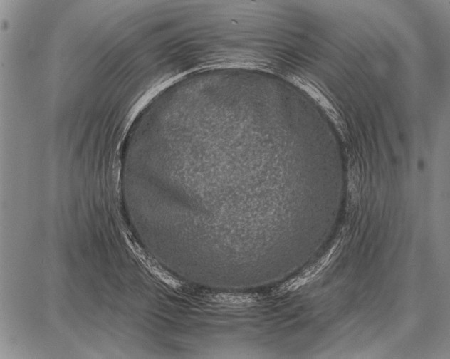 X0000087670933200705181701