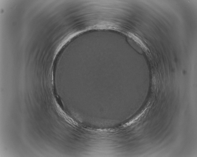 X0000087670934200705181701