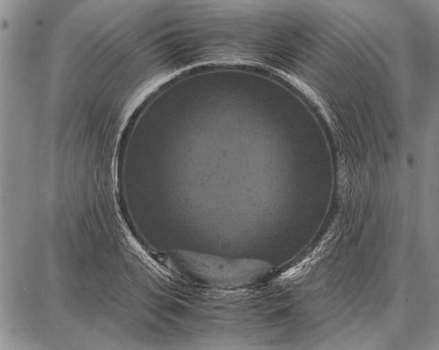 X0000087670935200705181701