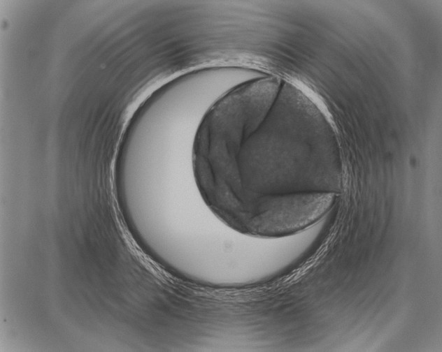 X0000087670936200705181701