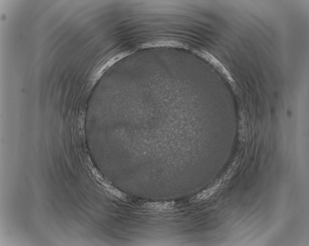 X0000087670937200705181701