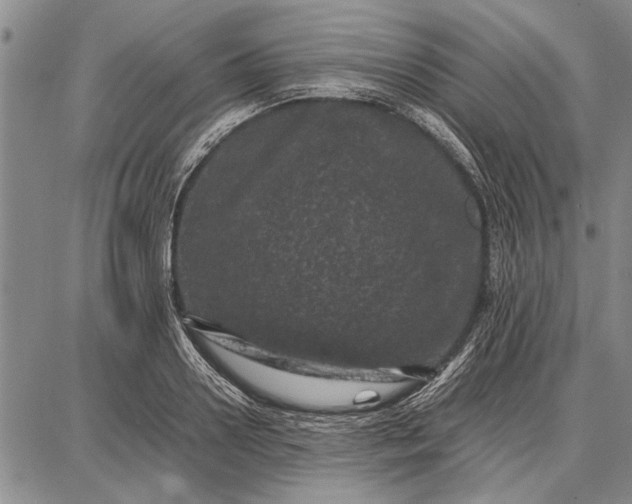 X0000087670938200705181701