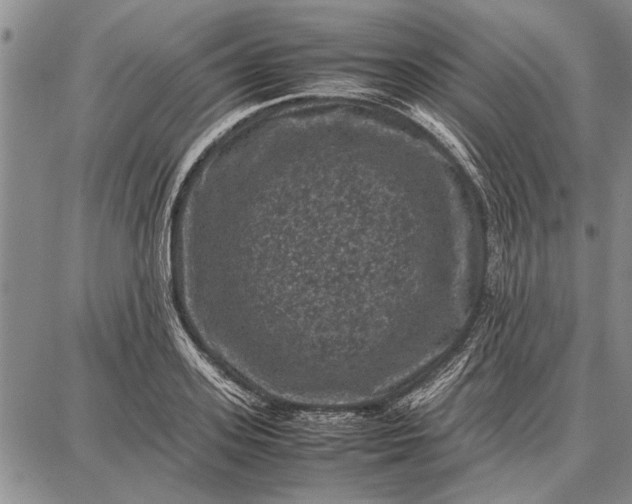 X0000087670939200705181701