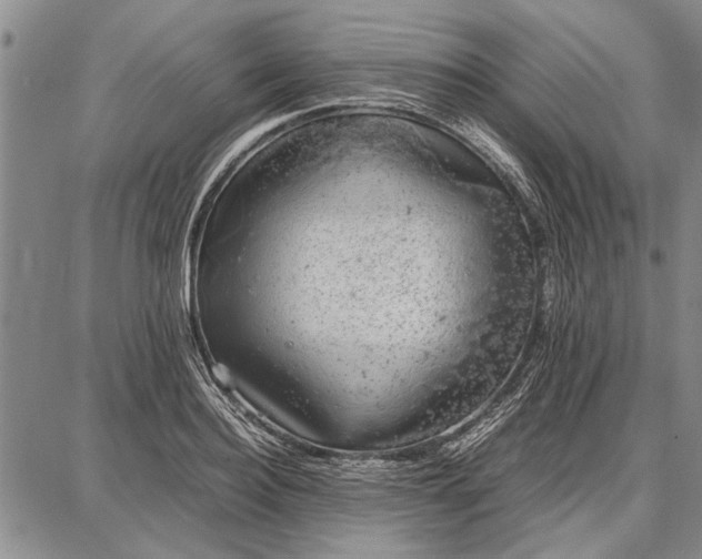 X0000087670940200705181701