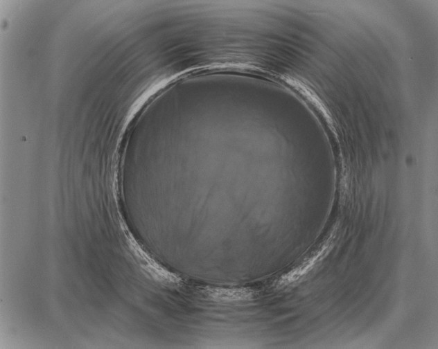 X0000087670941200705181701