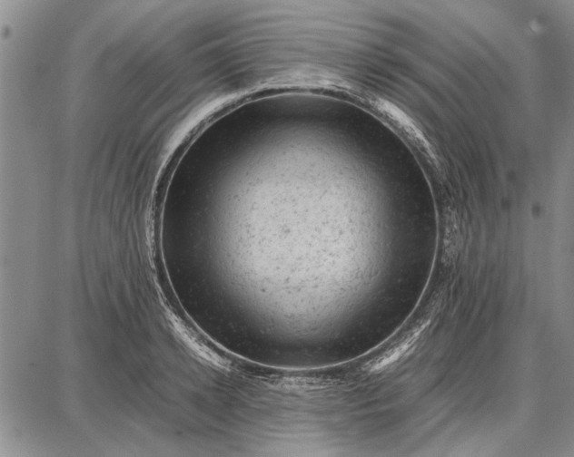 X0000087670942200705181701