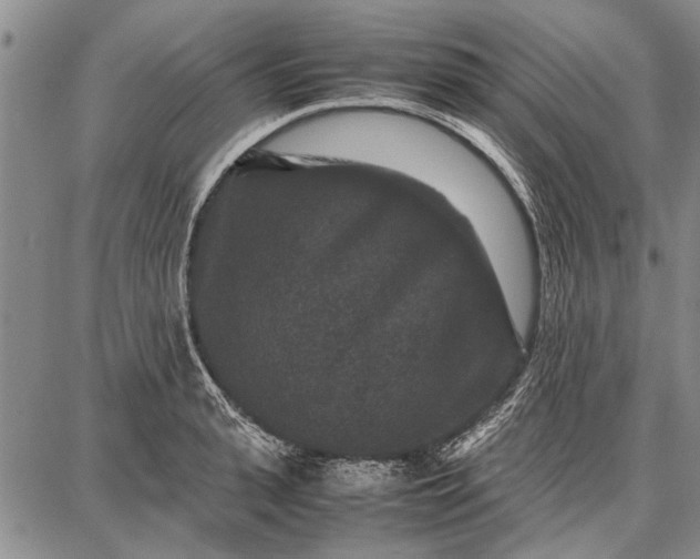 X0000087670943200705181701