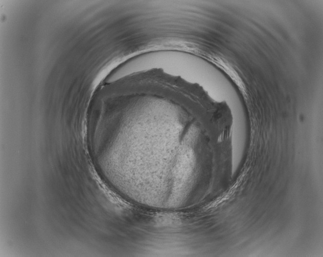 X0000087670944200705181701