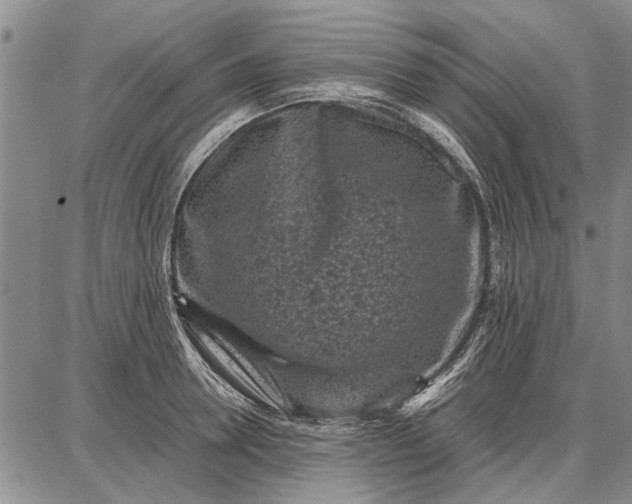 X0000087670946200705181701