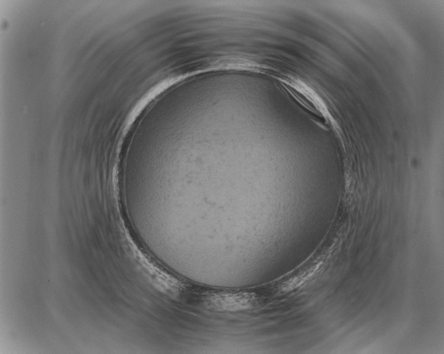 X0000087670947200705181701