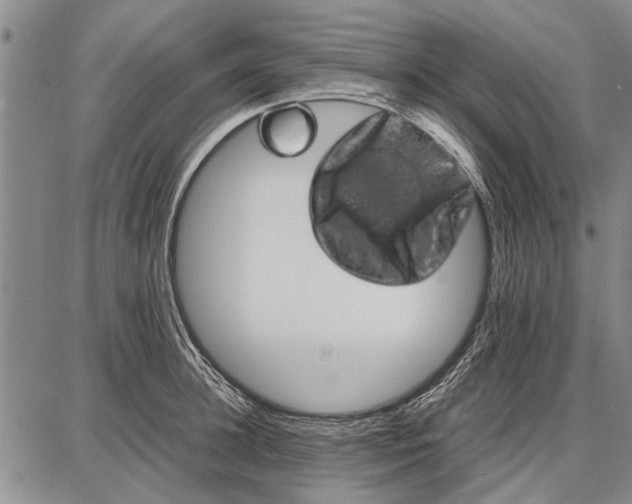 X0000087670948200705181701