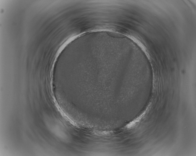 X0000087670949200705181701