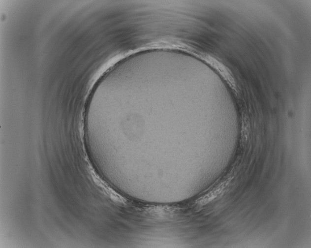 X0000087670950200705181701