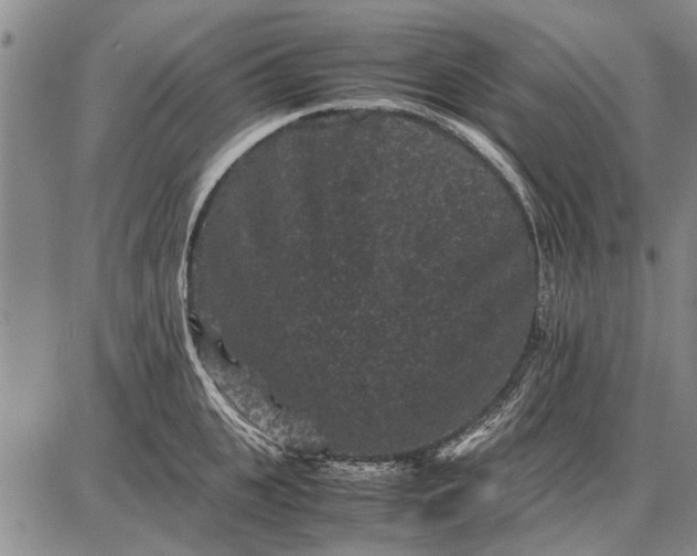 X0000087670951200705181701