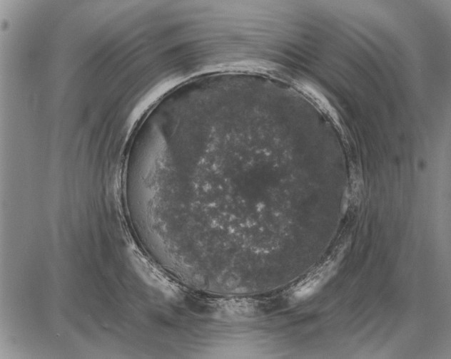 X0000087670952200705181701