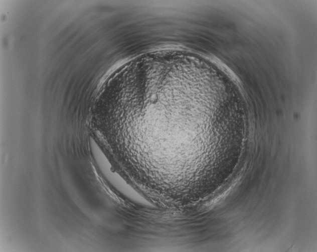 X0000087670953200705181701