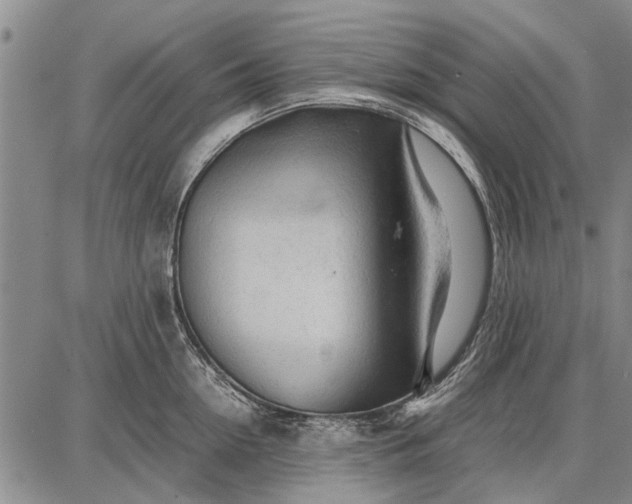 X0000087670954200705181701