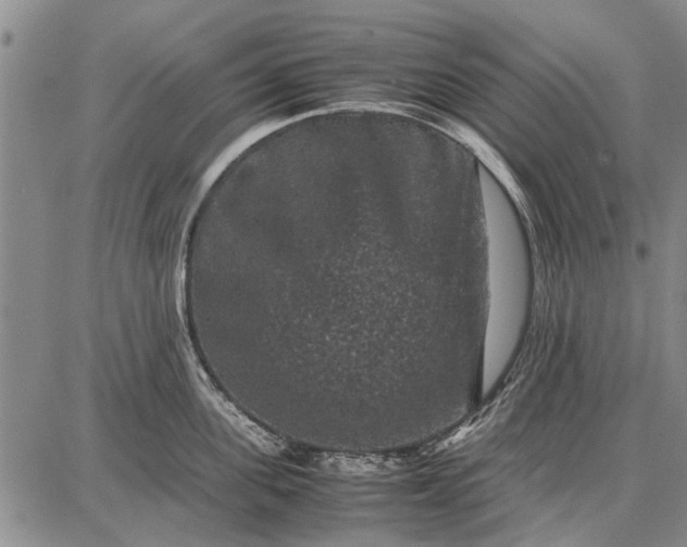 X0000087670955200705181701