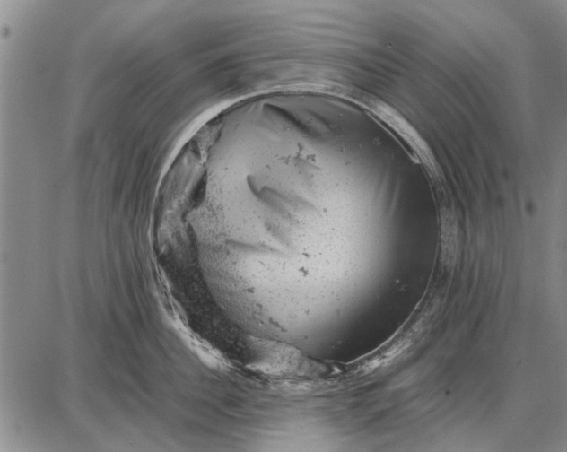 X0000087670956200705181701